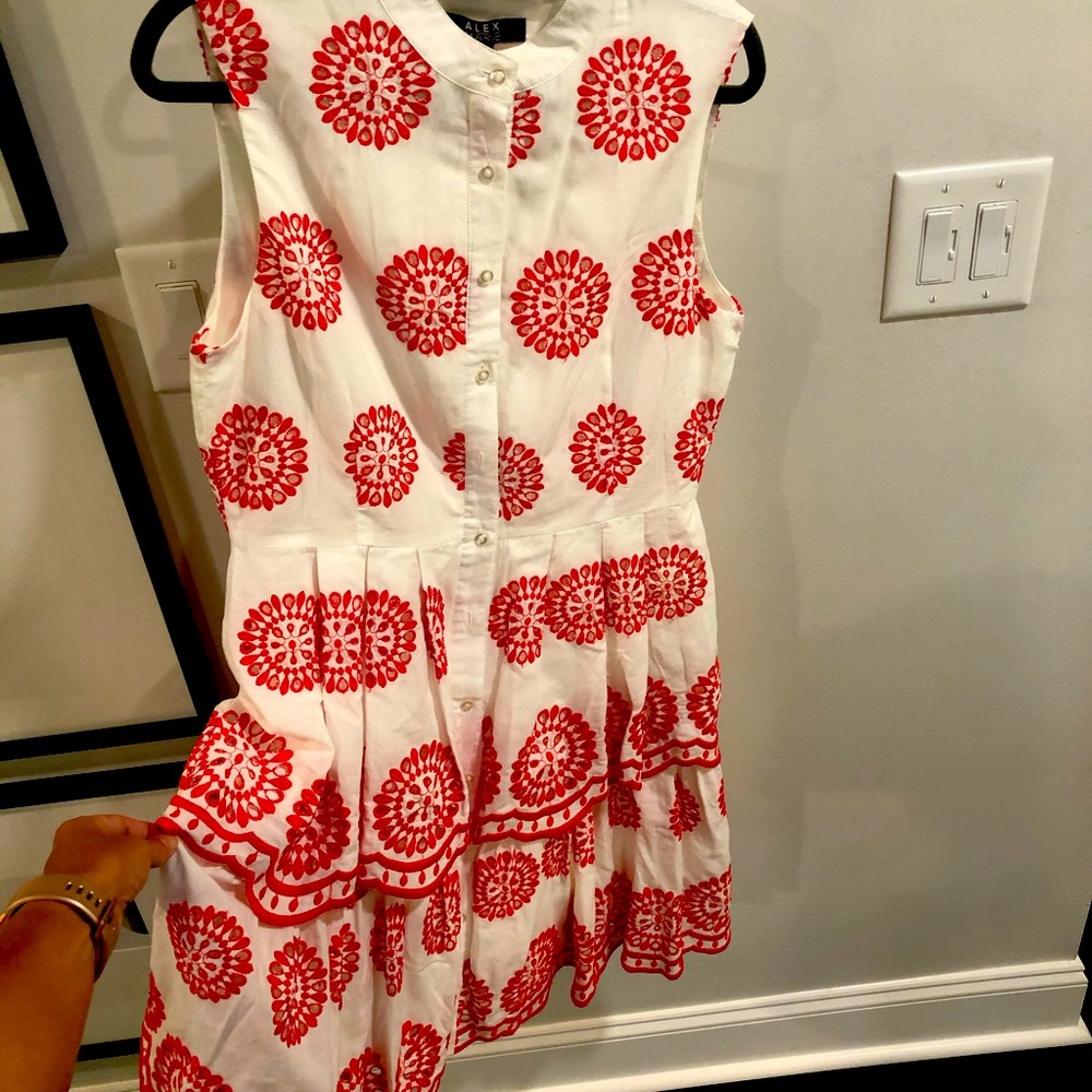 ALEX MARIE DRESS size 8